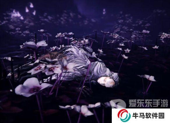 《艾爾登法環(huán)》DLC新boss或NPC剪影預(yù)覽