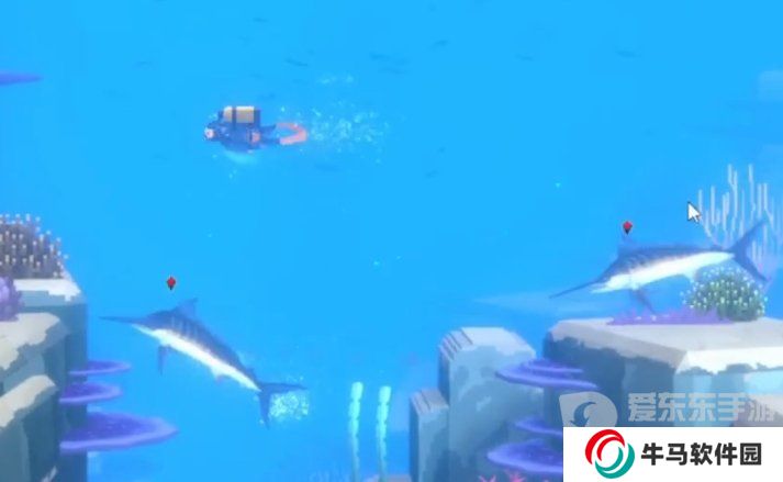 《潛水員戴夫》四鰭旗魚分布在哪？《潛水員戴夫》旗魚位置在哪？