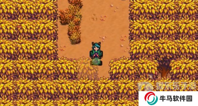 星露谷物語硬木怎樣大量獲得？星露谷物語硬木快速獲取指南